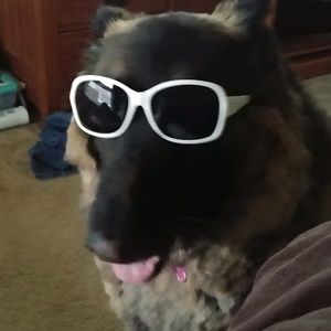 Meet your Posher, Ray